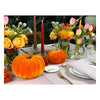 THE PUMPKIN PATCH TABLESCAPE - 4/6 PAX