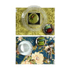 CARILLO PLACEMATS
