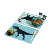 DINOSAURS PLACEMATS