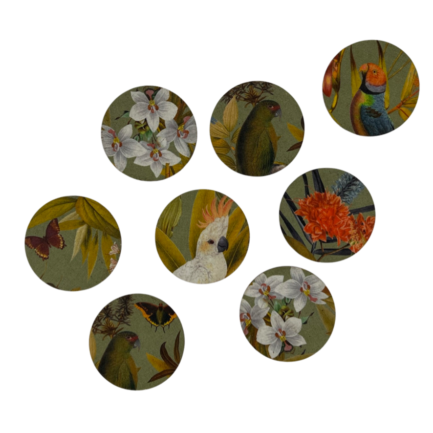 Parrots Coasters - SET OF TWO