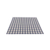 Picnic Placemats , CHECK CLOUD - SET OF FOUR