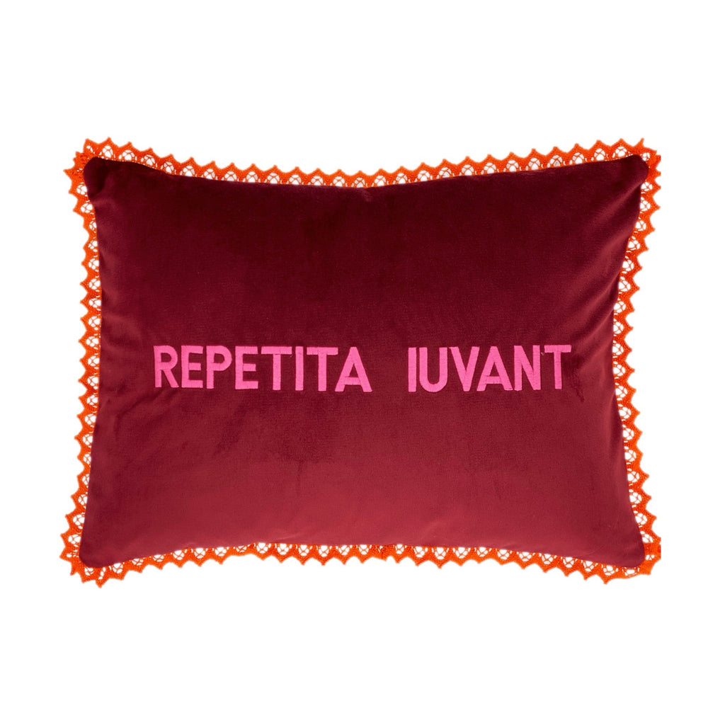 Repetita Iuvant Pillow - EMBROIDERED VELVET