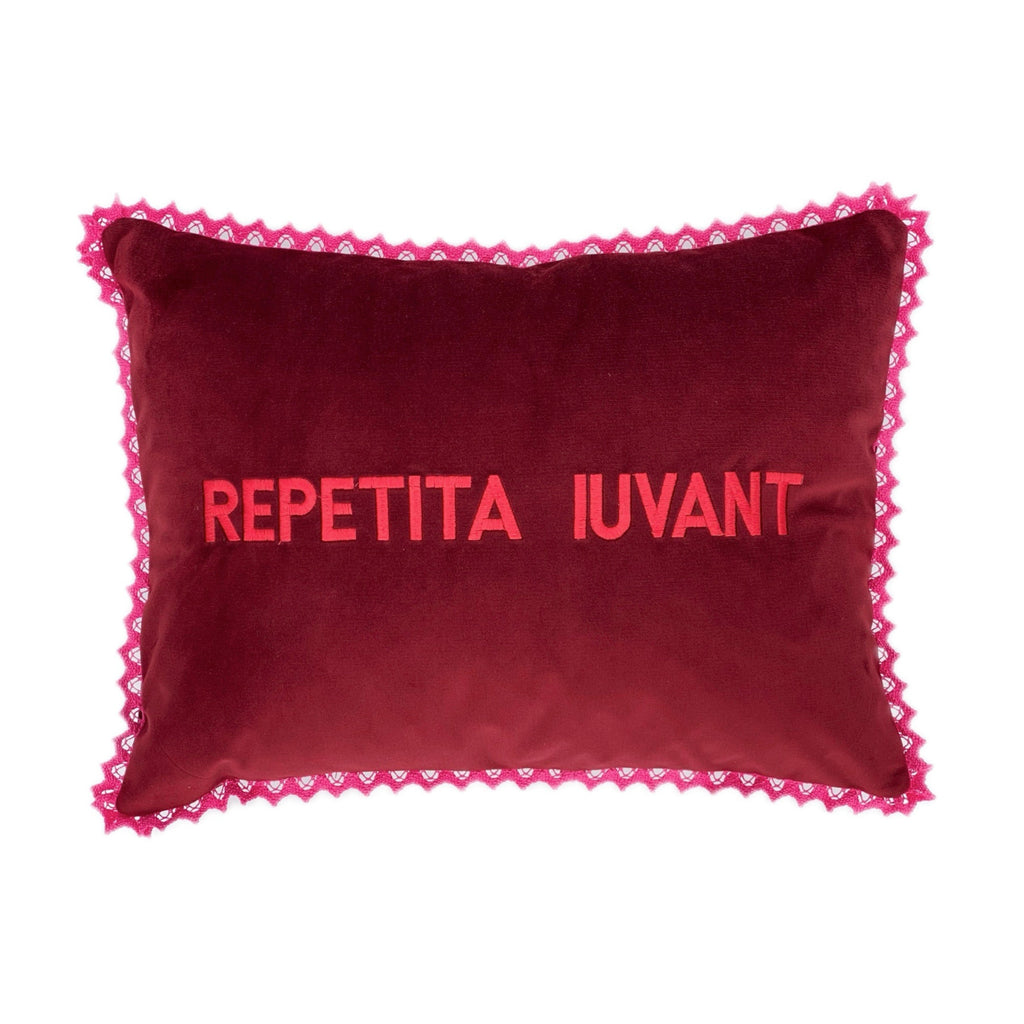 Repetita Iuvant Pillow - EMBROIDERED VELVET