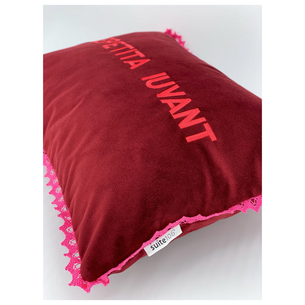 Repetita Iuvant Pillow - EMBROIDERED VELVET